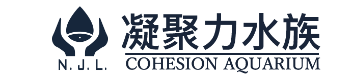 凝聚力水族_商超海鲜鱼缸_海鲜池定制_水产超市鱼缸_海鲜池定做_海鲜鱼缸定做_凝聚力水族