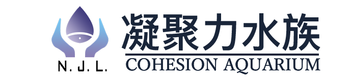 凝聚力水族_商超海鲜鱼缸_海鲜池定制_水产超市鱼缸_海鲜池定做_海鲜鱼缸定做_凝聚力水族